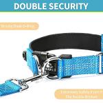 BAAPET Secure Dog Collar with ID Tag Hanger