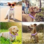 Wisedog Waterproof Adjustable Dog Collar with Airtag Case