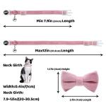 Personalized Velvet Cat Collars with ID Tags