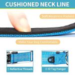 BAAPET Secure Dog Collar with ID Tag Hanger