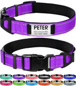 Personalized Purple Dog Collar with Engraved ID Tag