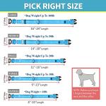 BAAPET Secure Dog Collar with ID Tag Hanger