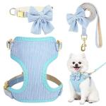 Blue Bowtie Dog Collar and Leash Set
