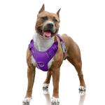 BARKBAY Reflective No Pull Dog Harness - Large