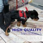 Service Dog Vest Harness Kit for Small Dogs