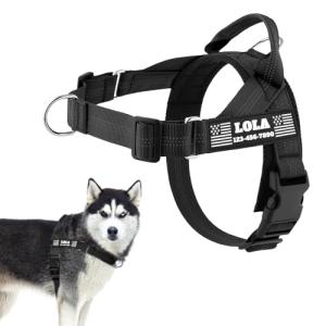 Personalized No-Pull Dog Harness with Patches