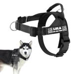 Personalized No-Pull Dog Harness with Patches