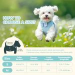 Blue Bowtie Dog Collar and Leash Set