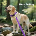 Personalized Purple Dog Collar with Engraved ID Tag