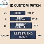 Personalized No Pull Dog Harness with ID - Pink