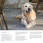 Double-Sided ESA Dog Tag with Medical Alert Symbol