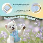 Blue Bowtie Dog Collar and Leash Set