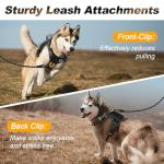 Personalized Tactical Dog Harness with Reflective Detail