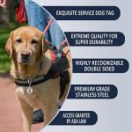 Double-Sided ESA Dog Tag with Medical Alert Symbol