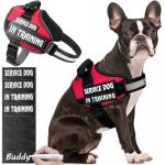 Personalized Reflective Service Dog Vest with Patches
