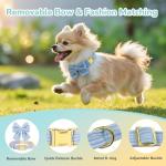 Blue Bowtie Dog Collar and Leash Set
