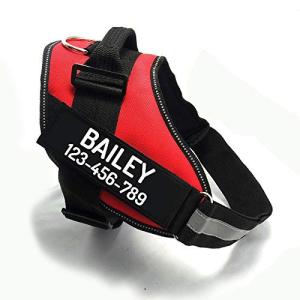 Personalized No Pull Dog Harness with ID