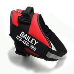 Personalized No Pull Dog Harness with ID