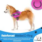 Custom No Pull Dog Harness with Name & Phone Number