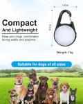 2 Pack Rechargeable LED Dog Collar Lights