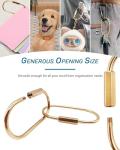 Brass Gold Carabiner Clips for Pets and Gear