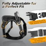 Personalized Tactical Dog Harness with Reflective Detail