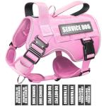 Heavy Duty Tactical Dog Harness with Patches