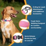 Personalized Reflective Dog Collar with Engraved ID Tag