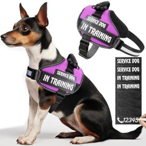 Personalized No-Pull Service Dog Vest with Patches