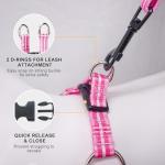 Pink No Pull Dog Harness and Leash Set
