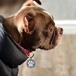 Personalized NFC & QR Code Smart Pet ID Tag