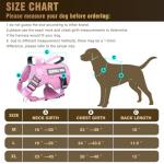 Heavy Duty Tactical Dog Harness with Patches