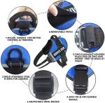 Moonpet Custom No Pull Dog Harness and Leash Set