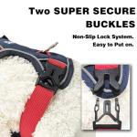 Personalized No-Pull Dog Harness with Name, Navy Blue