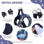 Kooltail Dinosaur Dog Harness and Leash Set