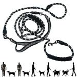 Hands-Free Bungee Dog Leash with Padded Handles