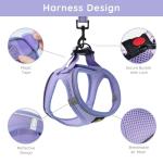 Bella & Pal No-Pull Dog Harness and Leash Set