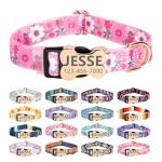 Personalized Engraved Dog Collar with ID Tag