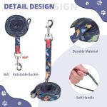 Kooltail Dinosaur Dog Harness and Leash Set