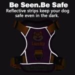 Personalized No-Pull Dog Harness with Name, Navy Blue