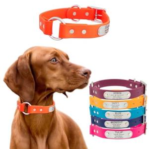 Personalized Waterproof Dog Collar with Nameplate - Orange
