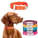 Personalized Waterproof Dog Collar with Nameplate - Orange
