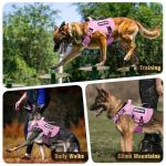 Heavy Duty Tactical Dog Harness with Patches