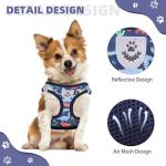 Kooltail Dinosaur Dog Harness and Leash Set