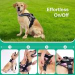 Custom Adjustable No-Pull Dog Harness with Name