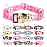 Personalized Engraved Dog Collar with ID Tag