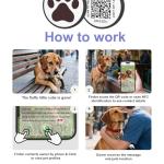 Personalized QR Code Dog Tag with Online Profile