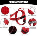 Personalized No-Pull Dog Harness with Patches