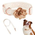 Small Dog Collar and Leash Set with Bow