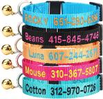 Personalized Cat Collar with Bell and ID Tag